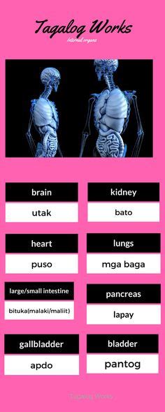 Body Parts In Tagalog