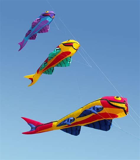 Three Colorful Fish Kites Flying In The Sky