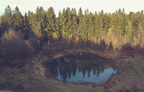 Calm Pond In Autumn Forest · Free Stock Photo