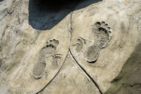 Adult And Children Footprints With Sole And Toes Imprinted In A Rock