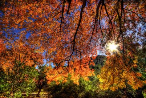 Shades Of Autumn Photograph By Saija Lehtonen Fine Art America