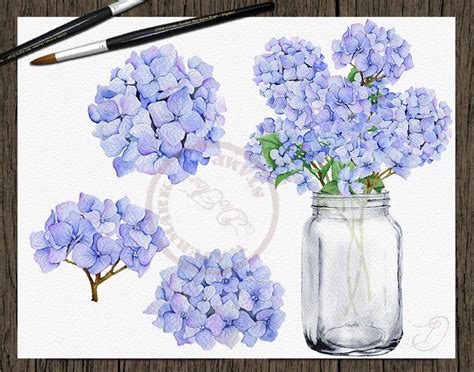 Grab our farmgirl flowers discount code and get 15% off on your cart. Hydrangea Watercolor Clipart Blue Flowers Clip Art Rustic ...