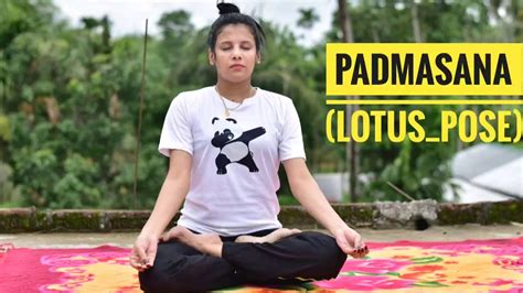 All yoga poses are divided into different categories. Easy Yoga Asanas !! International Yoga Day ।। Yoga ...