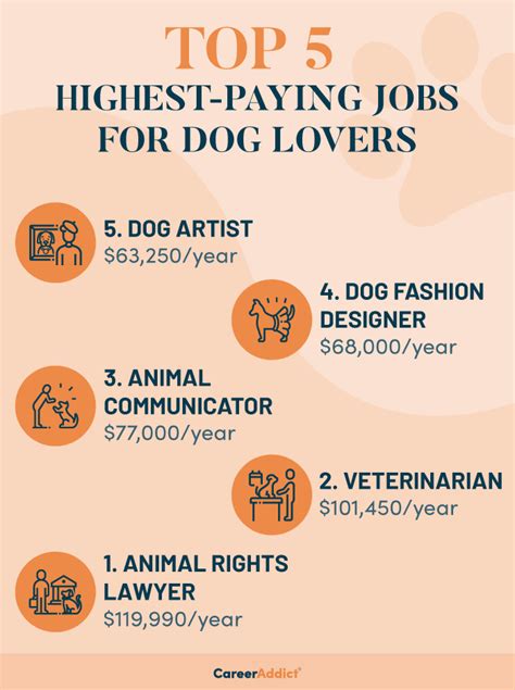 25 Best Jobs For Dog Lovers Salary Potential