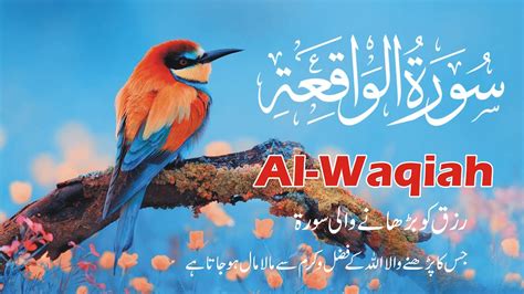 Surah Al Waqiah Full Episode 087 With Arabic Text سورة الواقعة