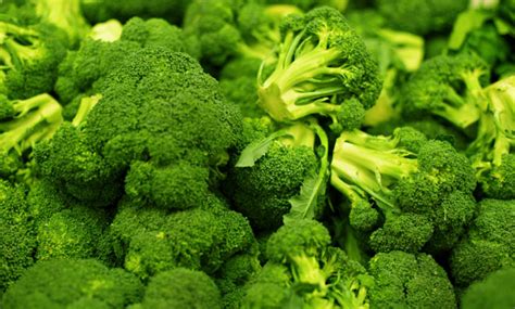 Broccoli A Superfood For Summer Designed To Nourish