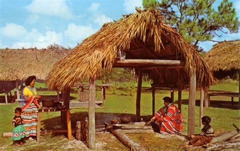 pin on postcards of seminole and miccosukee indians of florida