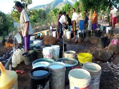 Drum plastik/bak kapasitas 100 liter sebanyak 2 buah. Begini Perjuangan Masyarakat Solor Barat Dapatkan Air ...
