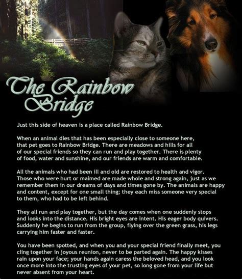 A dogs goodbye poem | my dog female touching 8x10 poem 'rainbow bridge' is a lovely prose poem written for anyone who's suffered the loss of a beloved pet. Remedies To Help Your Dog Pass Comfortably Over Rainbow ...