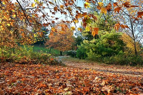 Autumn Season Nature · Free Photo On Pixabay