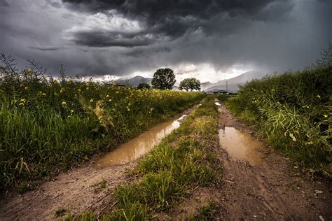 Country Road Dirt Rural · Free Photo On Pixabay