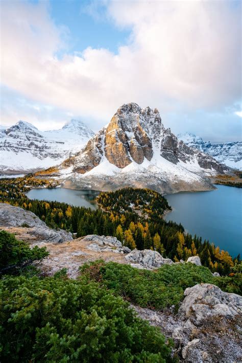 Got Up For Sunrise To Hike Up To The Niblet In Mount Assiniboine