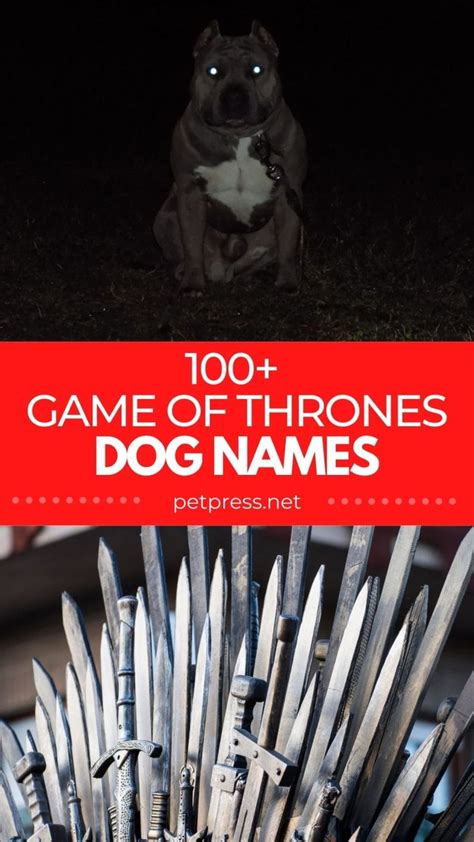 Game Of Thrones Dog Names 100 Names Inspired By The Show