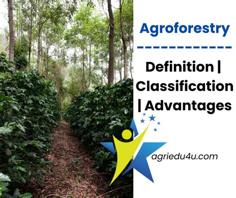 Agroforestry And Various Systems Of Agroforestry Definition