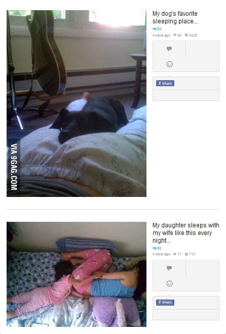 Ass The Favorite Place To Sleep 9gag