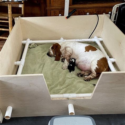 10 Best Whelping Boxes For Dogs In 2021 Features Pricing And Reviews