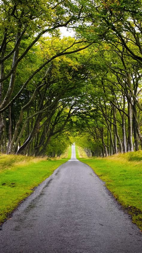 1334x750 HD Wallpaper - WallpaperSafari ··· 2020 best price highway off road led light bar background.