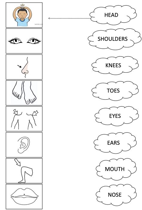 Head Shoulders Neck Worksheet My XXX Hot Girl