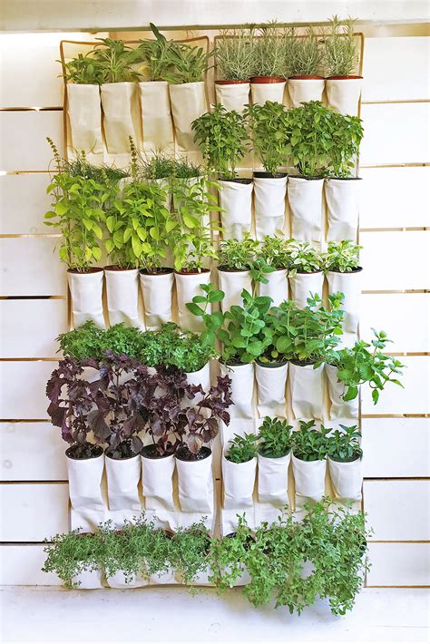 Tall, statuesque herbs like angelica contribute vertical interest to the garden. 15 Brilliant DIY Herb Garden Ideas
