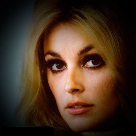Pin By Vintage Hollywood Classics On Sharon Tate Vintage Hollywood
