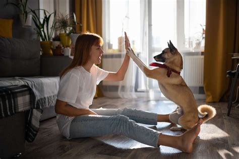 10 Easy Tricks Youve Always Wanted To Teach Your Dog Urbanmatter