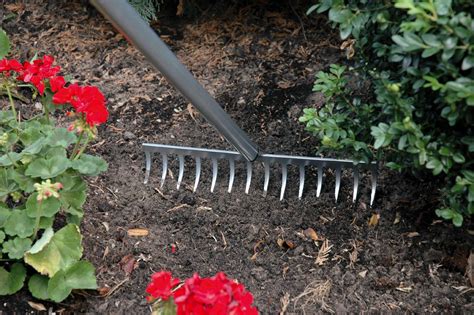As an example, say two players are in a pot. 10 Crucial Gardening Tools You Must Have For Your Garden ...