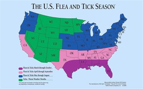 Tick Season Fleas Flea And Tick Seasons
