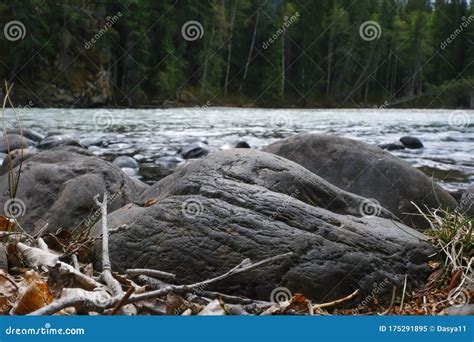 View Of The Rapids In The River Wells Gray Provincial Park Of British