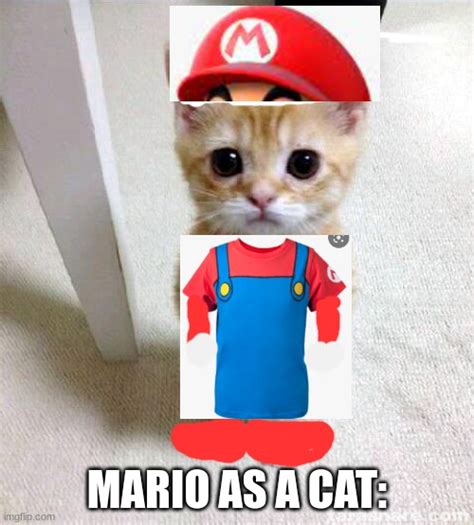 Mario As A Cat Imgflip