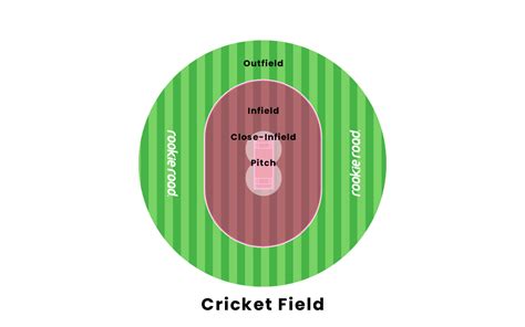 What Are The Basics Of Cricket