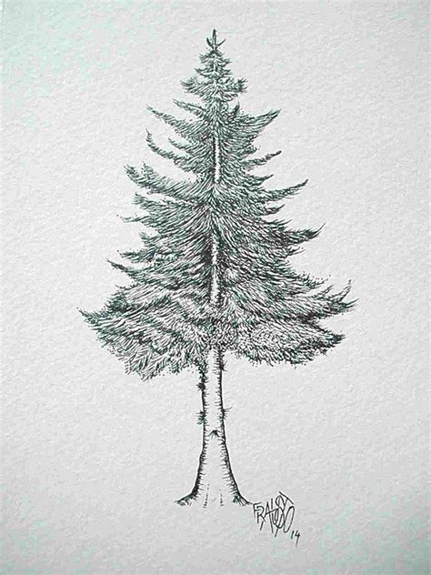 Let's learn how to draw a christmas tree simplethis christmas tree drawing is very simple and easy to draw. Simple Pine Tree Drawing at PaintingValley.com | Explore ...