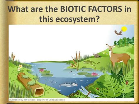 Ppt Abiotic And Biotic Factors Powerpoint Presentation Id2836247
