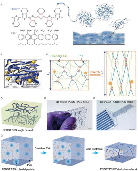 Pedotpss Based Intrinsically Soft And Stretchable Bioelectronics A