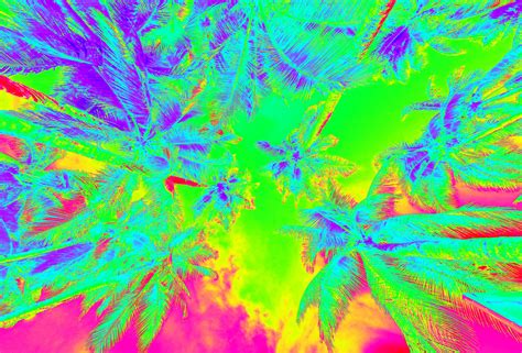 Thermal Style Image Of Palm Trees Psychadelic Trippy Palm Trees Thermal Iridescent