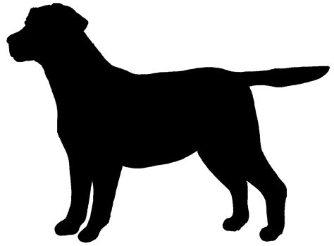 Black Lab Vector at Vectorified.com | Collection of Black Lab Vector