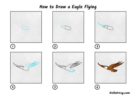 Comment Dessiner Un Aigle Volant Helloartsy Les Perrieres