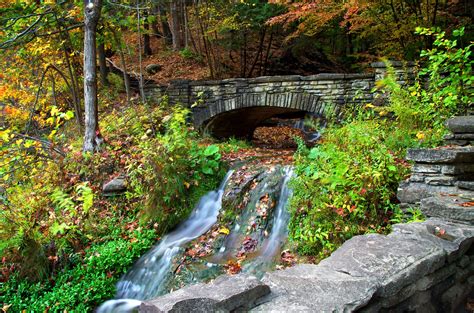 Autumn Forest Trees River Creek Bridge Nature Wallpaper