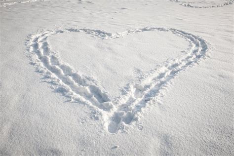 Heart Shape In Snow Stock Photo Image Of Large Footprint 47638950