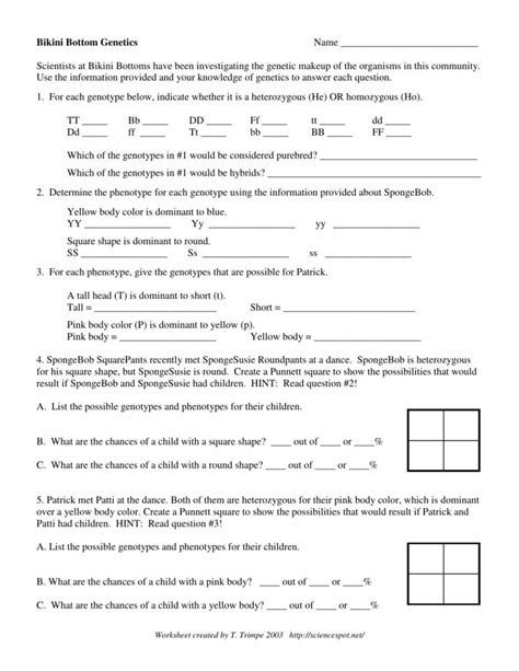 Hybrid eye shape, purebred roundpants _rrss_______. Genetics Worksheet Answer Key — db-excel.com