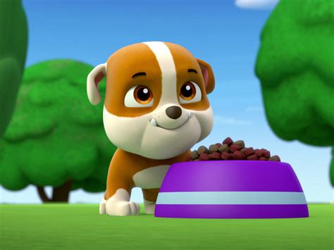 When their biggest rival, humdinger, becomes mayor of nearby adventure city and starts wreaking havoc, ryder and everyone's favorite heroic pups kick into high gear to face the challenge head on. Prime Video: Paw Patrol Season 1