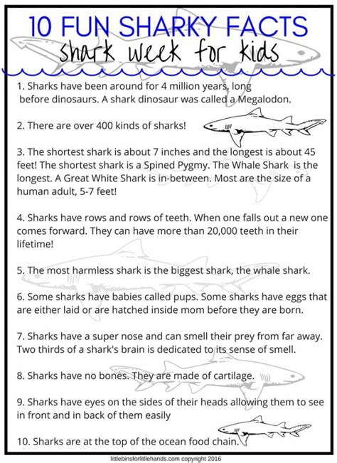 shark week activities  stem projects  kids