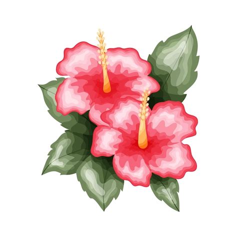 Premium Vector Hibiscus Illustration Colorful Flower