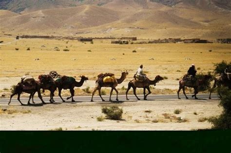 Kabul, afghanistan — the taliban seized the city of jalalabad early sunday, cutting the militants posted photos online early sunday showing them in the governor's office in jalalabad, the capital of. Jalalabad Foto's - Getoonde afbeeldingen van Jalalabad ...