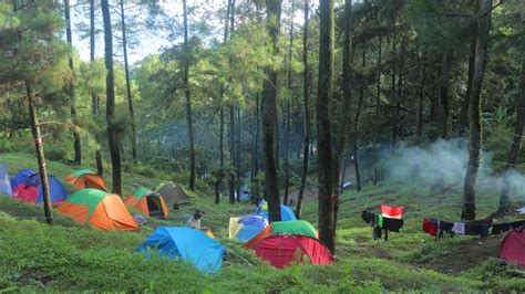 Camping Di Bumi Perkemahan Dlundung Panduan Lengkap Suasana Asli