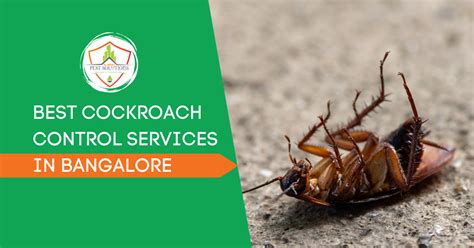 Cockroach Control Bangalore Cockroach Pest Control Services