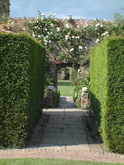 They are bushy, with lots of foliage, and can look lovely. Looking north from the Rose Garden circular lawn - Modern Design | 1000 | Rose garden design ...