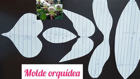 Como Fazer O Molde Da Orquídea Sapatinho Moldeorquidea Moldeflores