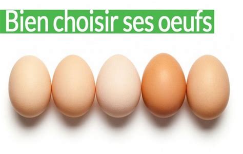 Comment Bien Choisir ses œufs