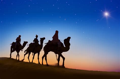 2560x1600 Desert Camels Evening Silhouette Wallpaper2560x1600