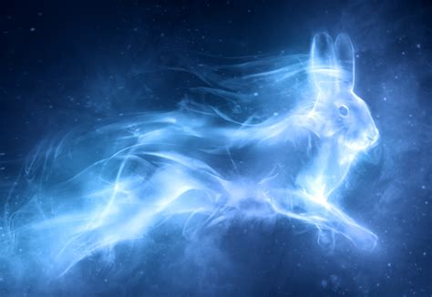 Image Patronus Hare Harry Potter Wiki Fandom Powered By Wikia